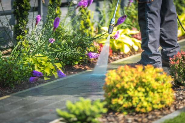 Best Parking Lot and Garage Cleaning  in Portage, WI